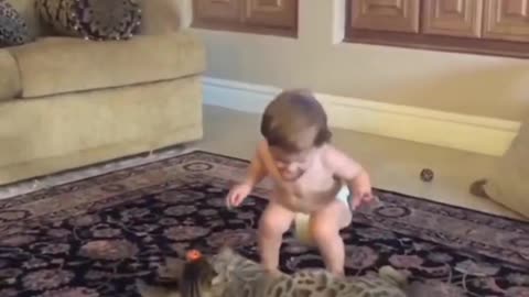 Cat attack on child 😮