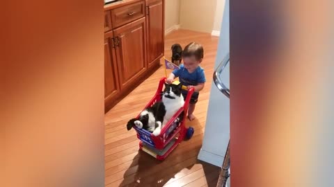 Baby and Cat Fun and Cute - Funny Baby Video 7.0M views .7 day ago