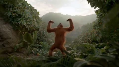 🦍🌳 Unbelievable Gorilla Dance: Grooving in the Heart of the Jungle! 🕺🦍