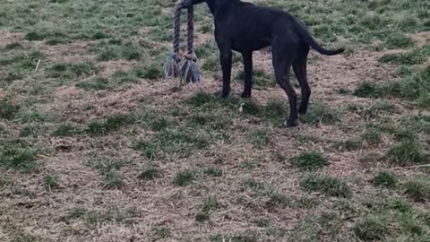 Rocky's 1st Rope