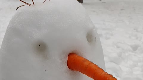 Troodos Snow January 2023, Cyprus Snowman