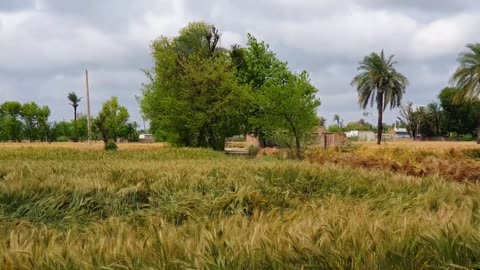 Old Sikh Village In Pakistan | Khalsa Village | Most Wonderful Village Of Punjab 2023