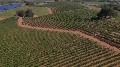 4K Drone Video of Napa Valley Wine Country