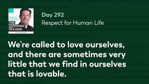 Day 292: Respect for Human Life — The Catechism in a Year (with Fr. Mike Schmitz)