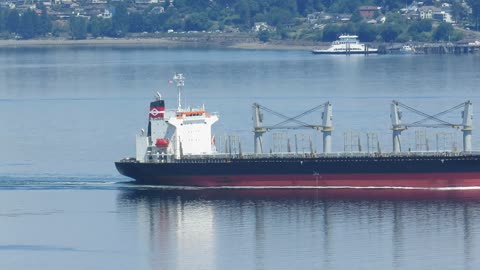 BULK CARRIER SHIP