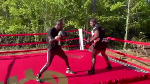 Deontay Wilder Return to the Ring