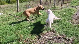 My 2 girls playing