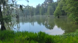 Suwannee Lake