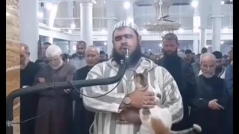 Cat jumps on imam leading Ramadan prayers in Algeria Sheikh Walid Mehsas was reciting nightly