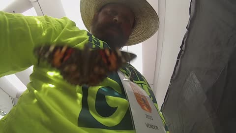 Cool Zoo Butterfly Encounter