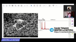 DOTT.SSA ANTONIETTA GATTI MONTANARI: HO ANALIZZATO AL MICROSCOPIO LA PIOGGIA 2/2