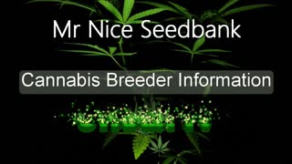 Mr Nice Seedbank - Cannabis Strain Series - STRAIN TV (2021)