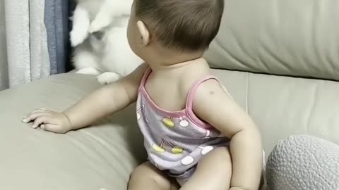 The cute dog and baby