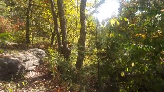 Virtual POV Climbing Stairs in the Wilderness up Mountain Hike Steep No Talk No Music Scenic Trail