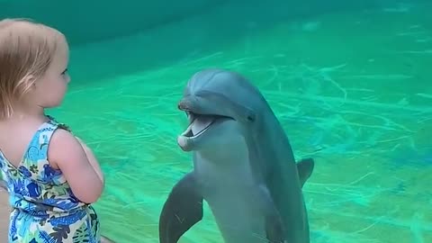 Little girl and dolphin 🐬 saying hi