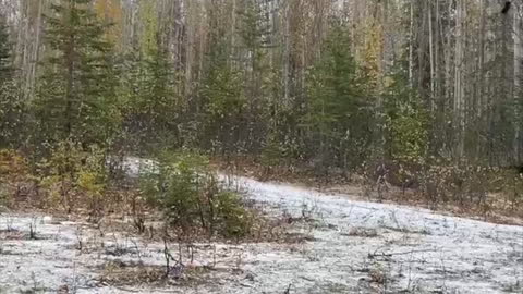 Kimber R7 Mako First Shots 😶‍🌫️❄️LWRoad9999 Solo Alaska Range Day-Wish I was in Atlanta with Chuke!😭