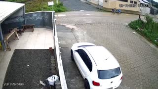 Dog Doesn't Brake and Crashes into Gate