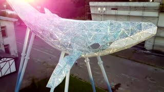 Whale made of recycled plastic swims over Kyiv