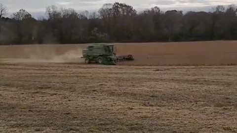 Harvest is my favorite part of farming