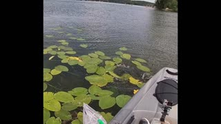 Son Trumps me with first fish caught in a Kayak.