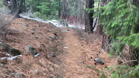 Roaring Creek & Geological Formations – Whychus Creek Trail – Central Oregon