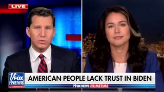 Tulsi Gabbard on Fox News Primetime