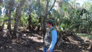 Real Florida Trek to an Ancient Native Shell Pyramid