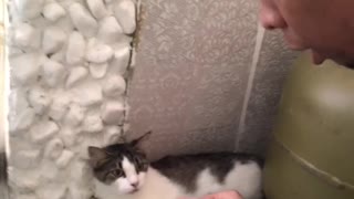 Cat and Owner Singing Duet