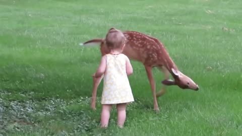 Little Girl Plays with Fawn!!!!