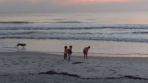 Kids on the beach