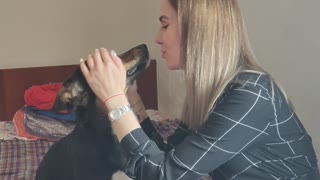 The puppy gets incredible pleasure when he is scratched