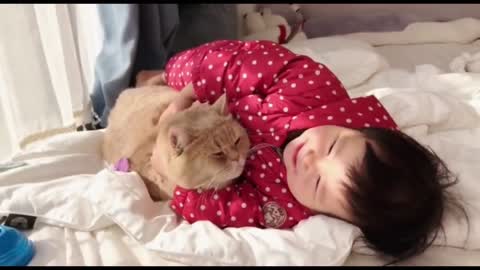 Funny babes And Cats | Bebes Engraçados e Gatos