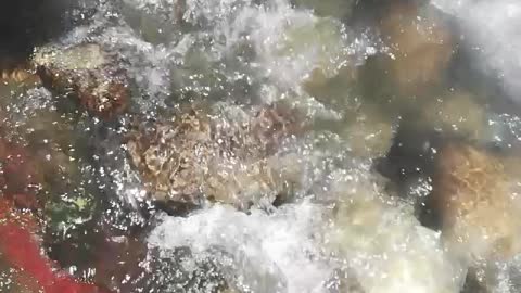 Water flow