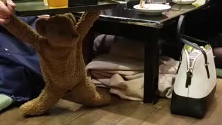 Funny Teddy Bear Delivers Drinks