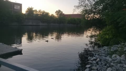 Dusk Along The Chicago River