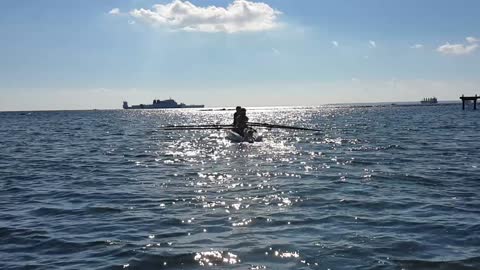 Dog experiencing coastal rowing