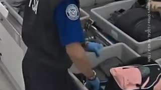 TSA officer caught stealing