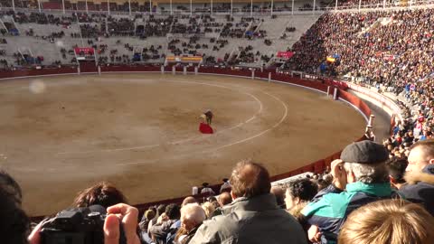 Bullfight, Las Ventas, Madrid