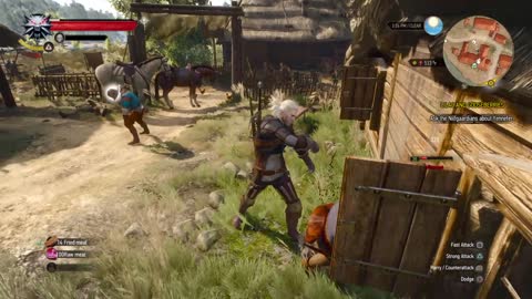 The Witcher 3 Wild Hunt: Nice Meeting You