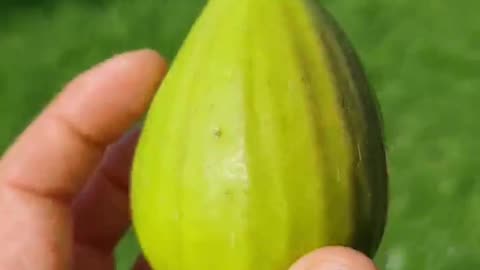 The First Fig