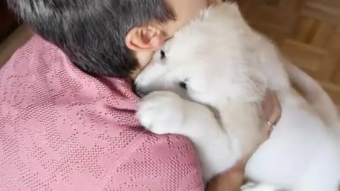 Sweet Puppy Loves Giving Hugs And Kisses
