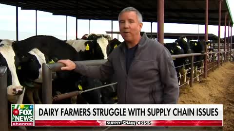 A dairy farmer describes how ongoing supply chain issues are affecting the industry
