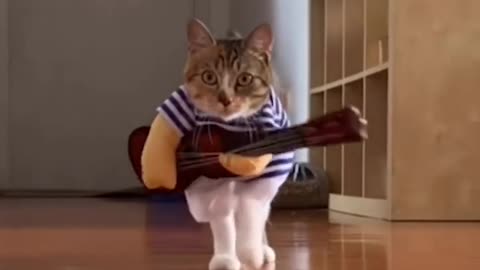 Cat girl funny video