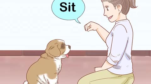 Training puppy with easy steps