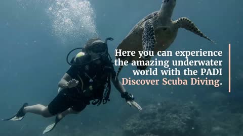 Discover Scuba Diving Phuket TH