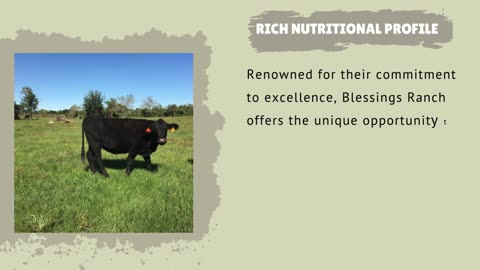 Premium Beef in Bulk - Blessings Ranch Delivers