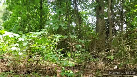 Quick meditation in nature