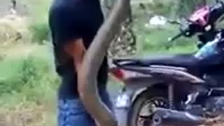 A Brave Boy Caught A Big Snake Beside The Road