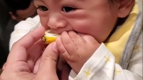 Babies Make Funny Faces When They Eat Lemons | Hilarious Reactions