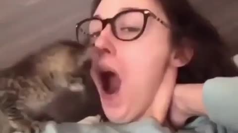 Cute cat playing with a girl trying to go inside her mouth.